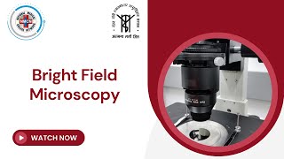 Bright Field Microscopy [upl. by Sanford317]