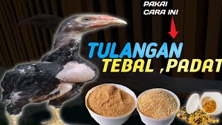 PAKAN AYAM AGAR TULANGAN TEBAL PADAT DAN CEPAT BESAR [upl. by Yhtak]