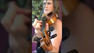 Wildest dreams  BRIDGERTON  Taylor Swift violin cover [upl. by Flan835]