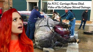 EVERYTHING WRONG WITH CARRIAGE RIDES [upl. by Roderic648]