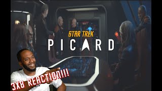 GET OFF MY BRIDGE Star Trek Picard 3X8 REACTION quotSurrenderquot First Time Watching [upl. by Arymat]