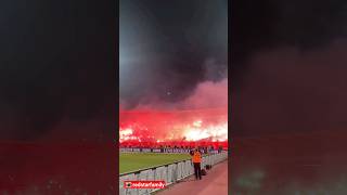 Belgrade Derby🇷🇸 Delije Crvena Zvezda pyroshow against Partizan 09032024 [upl. by Aliakim]