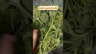 Kaddu ke patte ki sabhi 🍀☘️ youtubeshorts recipe pahadilifestyle vlog shorts food [upl. by Mcconaghy147]