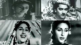 Superhit Songs of Anarkali  Pradeep Kumar Bina Rai  Classic Bollywood Movie [upl. by Gnoix731]