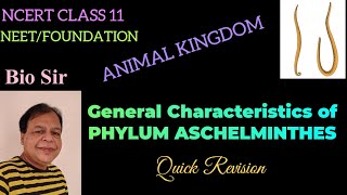 Aschelminthes Class 11 NCERT Animal Kingdom [upl. by Nida]