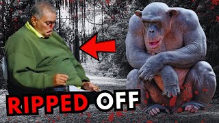 Chimps Attacks Man Over Birthday Cake shorts [upl. by Anaihsat]