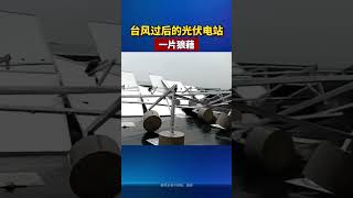 The photovoltaic power station after the typhoon was in a mess PV typhoon PVpowerstation [upl. by Neemsaj]