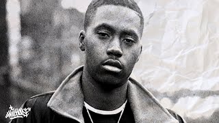 free Nas Illmatic Type Beat  quotThe Parkquot  90s BoomBap Type Beat 2022 [upl. by Olga402]