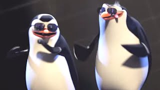 DreamWorks Madagascar  Penguins of Madagascar Pitbull  Celebrate Music Video  Kids Movies [upl. by Fidellas]