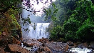 MAGNIFIQUE CASCADE Rivière et Oiseaux pour Oublier les Soucis et Dormir Profondément – 100 RELAX [upl. by Noryak]