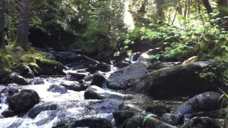 Donich Falls walk above Lochgoilhead in Argyll [upl. by Lodovico]