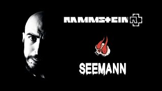 Rammstein  Seemann  Bass Cover [upl. by Rheims]