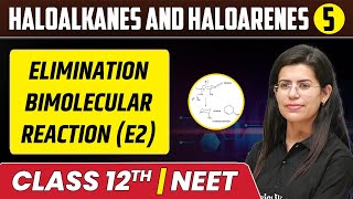 Haloalkanes and Haloarenes 05  Elimination Bimolecular Reaction E2  Class 12thNEET [upl. by Herold]