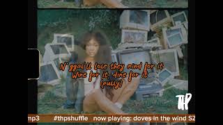 SZA  Doves in the wind Lyric Video [upl. by Saxen]