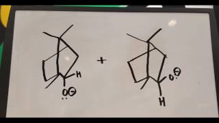 reduction of camphor to borneol and isoborneol v2 [upl. by Nosniv]