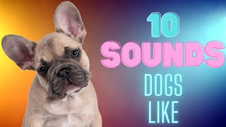 10 Sounds Dogs Like To Hear [upl. by Odinevneib]