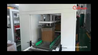 Liner Bag in Box Forming Line  Carton Erector and Poly Bag Inserter [upl. by Aloibaf]