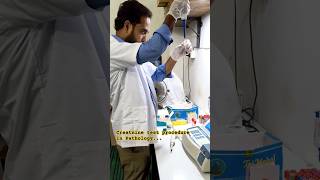 creatinine test in lab trending microscope viral science study shorts family boy girl [upl. by Moira]