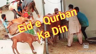 EID KA DIN  QURBANI KA DIN [upl. by Brawner58]