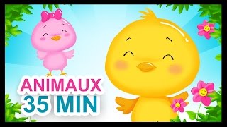 À la volette  35 de comptines sur les animaux pour les enfants  Titounis [upl. by Gillead425]