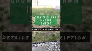 Grow your Lawn in about 3 weeks shorts landscape exteriordesign greenthumb interiordesigner [upl. by Ydnec]