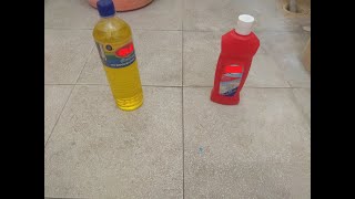 Regular Bleach vs Hydrochloric Acid [upl. by Anesuza]