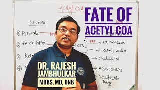 7 Fate of Acetyl CoA [upl. by Farrica784]