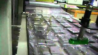 Maquina de Vacuum Forming VFBS automatica com alimentadorwmv [upl. by Yelsiap]