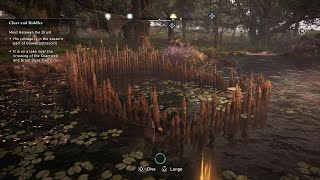 Assassins Creed Valhalla  How to Get the Gold Loot In Druids Cottage [upl. by Neras]