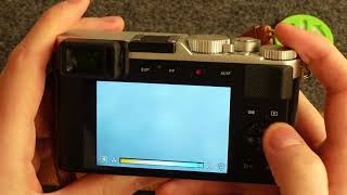 Leica D Lux 7  How To Adjust White Balance Level [upl. by Ecar120]