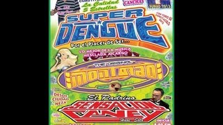 SUPER DENGUE Y SENSACIÓN CANEY EN TEPOJACO 2013 [upl. by Ysdnyl601]