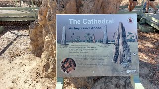 Litchfield National Park Termite Mounds [upl. by Barkley201]