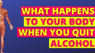 What Happens To Your Body When You Stop Drinking [upl. by Nennahs684]