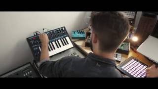 Novation  Launchpad Pro  Scale Mode [upl. by Nations]