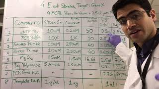 How To PCR Calculations [upl. by Yeslrahc]