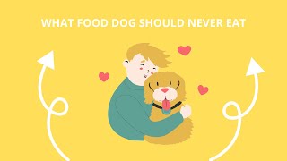 WHAT FOOD DOG SHOULD NEVER EAT [upl. by Fellows]