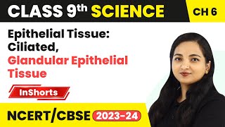 Epithelial Tissue Ciliated Glandular Epithelial Tissue  Class 9 Biology Chapter 6  Tissues [upl. by Anahir]