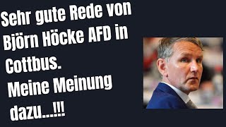 Rede von Björn Höcke in Cottbus und mein Kommentar dazu beide Stimmen für die AfD [upl. by Fifi391]