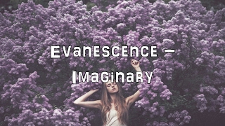 Evanescence  Imaginary Acoustic CoverLyricsKaraoke [upl. by Enelyak]