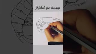 how to draw palaemon diagram shorts palaemon [upl. by Searcy]