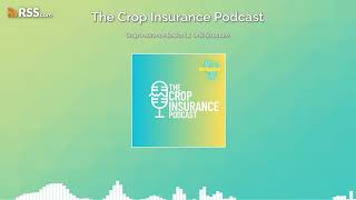 Crop Insurance Basics  4 Unit Structure [upl. by Anaujat]