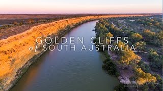 Murray River Bird aerial video  Golden Cliffs of South Australia  Discover Murray River [upl. by Artinek]