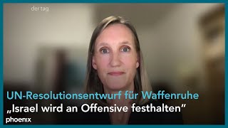 Wissenschaftlerin Kristin Helberg zum UNResolutionsentwurf für eine Waffenruhe in Gaza  290524 [upl. by Roper]