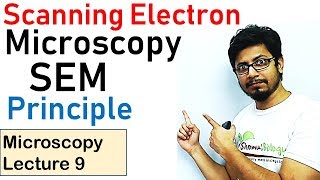 Scanning electron microscope principle working SEM [upl. by Lecrad]