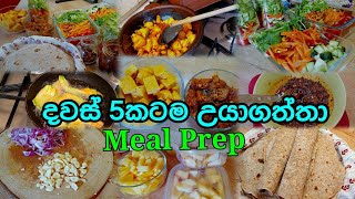 දවස් 5කටම එක සැරේම උයා ගත්තා  Meal Prep Sinhala [upl. by Dud]