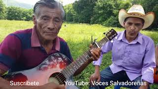 Musica de cuerdas La calandria con Moises y Carlitos [upl. by Cher]