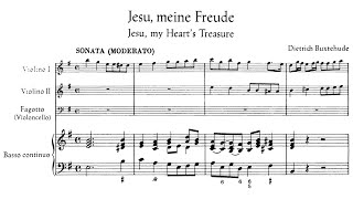 Buxtehude  Jesu meine Freude BuxWV 60 [upl. by Tellford]