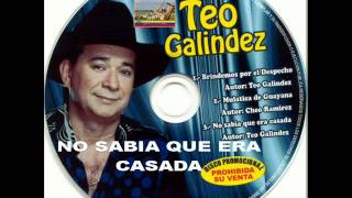 Teo Galindez  Brindemos Por El Despecho [upl. by Lanam961]