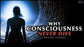 Why Consciousness is Immortal  The Philosophical Proof of Life After Death [upl. by Sly]