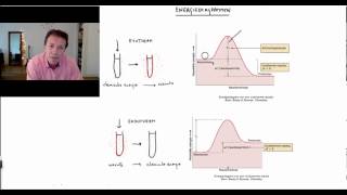 Energiediagrammen  Scheikundelessennl [upl. by Uriisa]